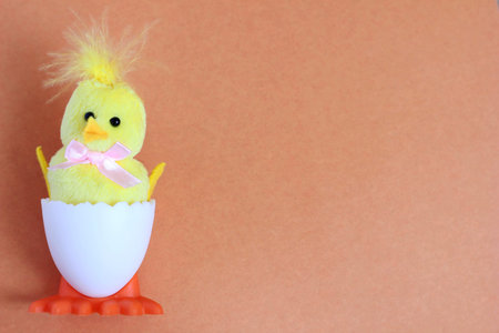 A yellow toy chicken hatched from a toy white egg. happy Easter. Symbol of new life. Space for text....
