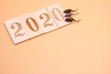 Number 2020 lined with wooden figures and three little metal mice on it. Symbol of the new year 2020...