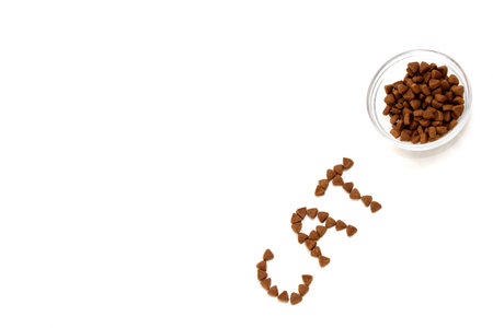 The word CAT is laid out with dry cat food on a white background next to a bowl of cat dry food....