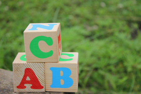 English ABC letters on wooden toy blocks outdoors on a green grass background. Learning foreign...