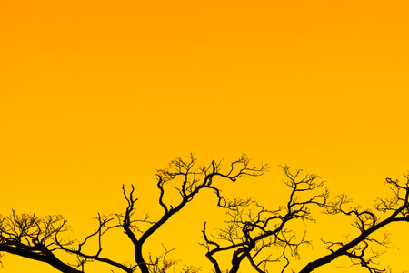 A large branching tree on an orange color background. beautiful nature. Copy space.
