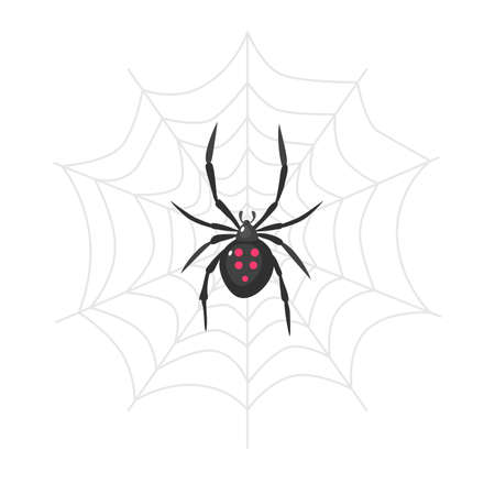 An image of a spider on a web. Isolated on white background. Vector stock illustration.のイラスト素材