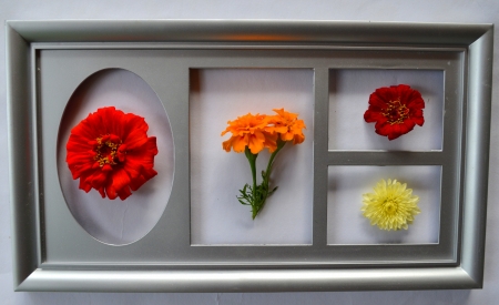 Flowers are in a grey scopeの写真素材