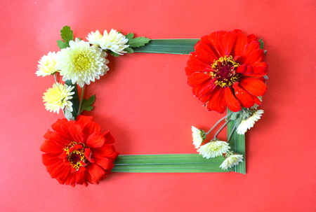 Red frame with flowersの写真素材