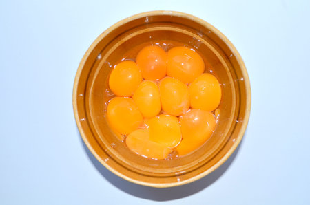 Yolk