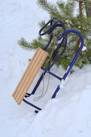 Winter sleighの写真素材