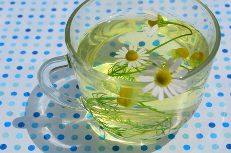 Tea with chamomile in cupの写真素材