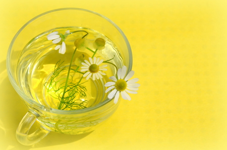Tea with chamomile in a transparent cupの写真素材