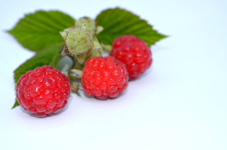 Ripe red raspberries isolated on white background
