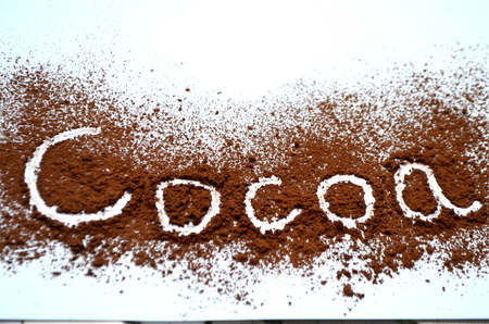 cocoa powderの写真素材
