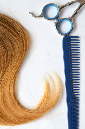 Strand of hair with scissors and comb for haircut on white backgroundの写真素材