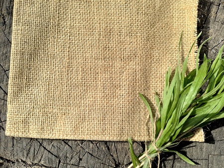 Estragon and spices on textured backgroundの写真素材