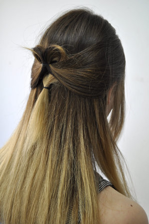 Hairstyle on long hair