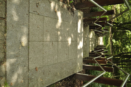 Stone stairs in a forest, closeup of photo with selective focusの写真素材