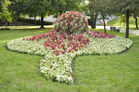 Flowerbed in the park of the city of St. Petersburgの写真素材