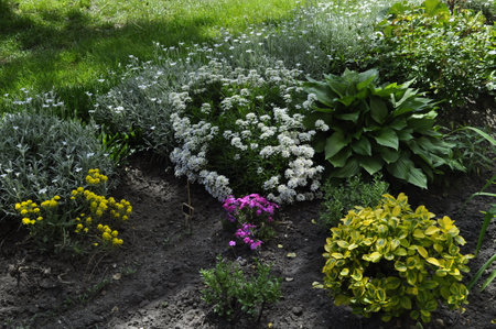 Flowerbed with different flowers in the garden. Landscape designの写真素材
