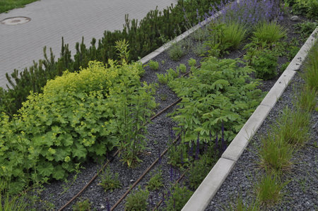 garden with flowerbed and rail tracks in the city park.の写真素材