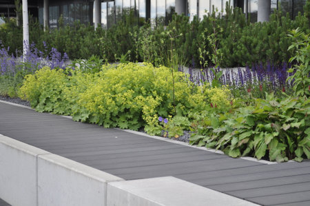 Flowerbeds in the city park, closeup of photoの写真素材