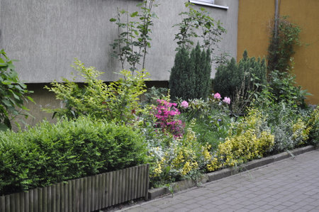 Flowerbeds in the courtyard of a residential building in the cityの写真素材