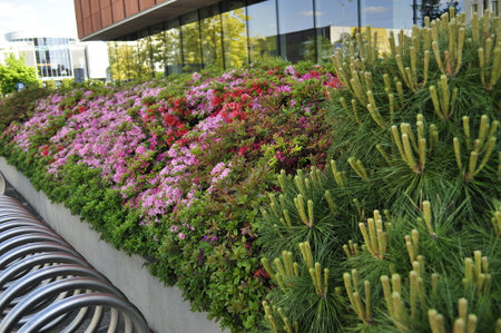 Flowerbed in front of the entrance to a modern shopping centerの写真素材