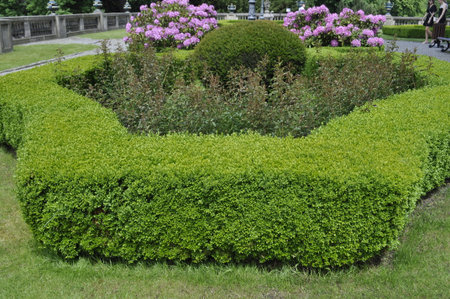 Beautiful landscaped park in the city center of Lviv, Ukraineの写真素材
