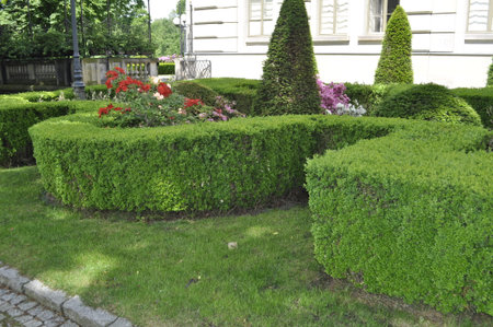 Beautiful landscaped garden in the city center of Lviv, Ukraineの写真素材