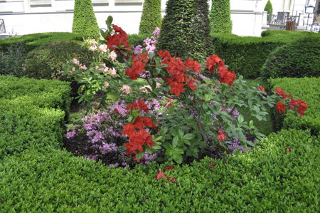Flower garden in the public park, bangkok, thailandの写真素材