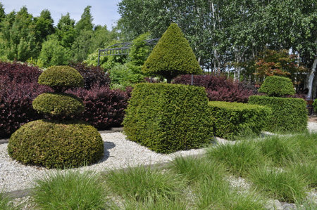 France, le Jardins du Manoir d Eyrignac in Normandie Decorative topiary garden with geometrically trimmed evergreen shrubsの写真素材