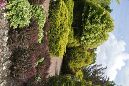 Beautiful landscaped garden with ornamental plants and trees in summerの写真素材