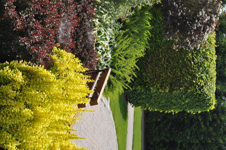 Flowerbed in the garden on a spring day, top viewの写真素材