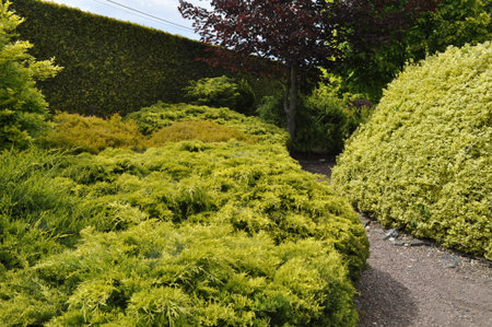France, le Jardins du Manoir d Eyrignac in Normandieの写真素材