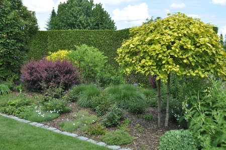 Garden landscaping in the shape of a flower bed and shrubsの写真素材