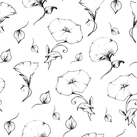 Seamless pattern of convolvulus retro vintage.のイラスト素材