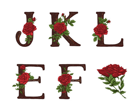 Red Roses letters. Hand draw, Vector alphabetのイラスト素材
