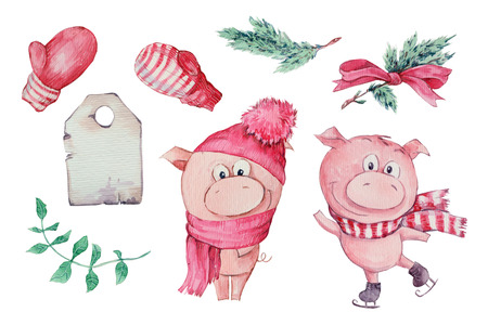 Watercolor hand drawn illustration of cute three pigs isolated on white background.の写真素材