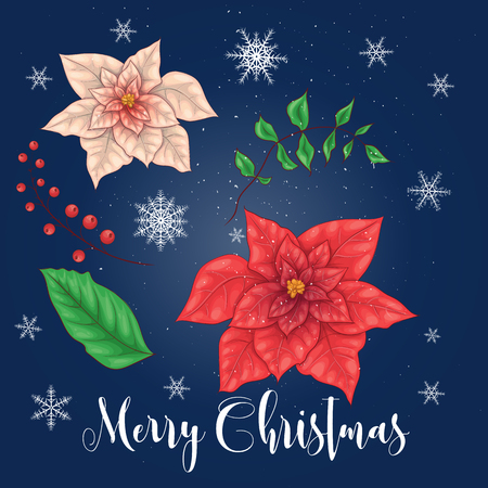 Poinsettia Flowers and Christmas Floral Elements. Vector illustrationsのイラスト素材
