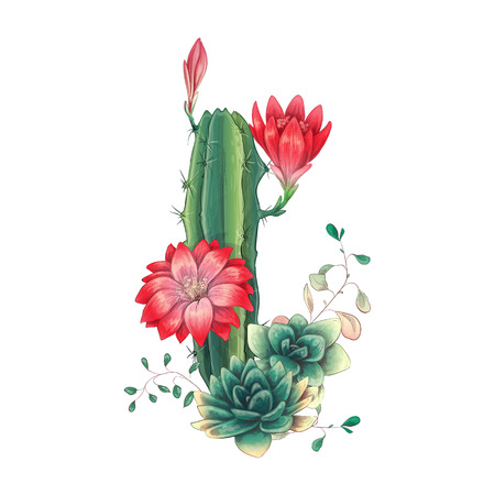 Card with cactuses and succulents set. Plants of desert. Vector illustration.のイラスト素材