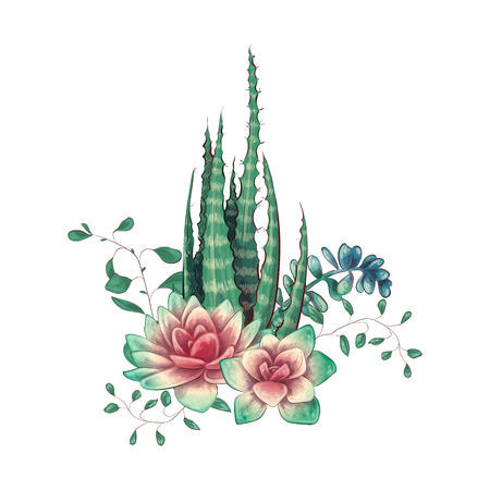 Card with cactuses and succulents set. Plants of desert. Vector illustration.のイラスト素材
