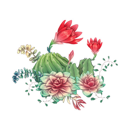 Card with cactuses and succulents set. Plants of desert. Vector illustration.のイラスト素材