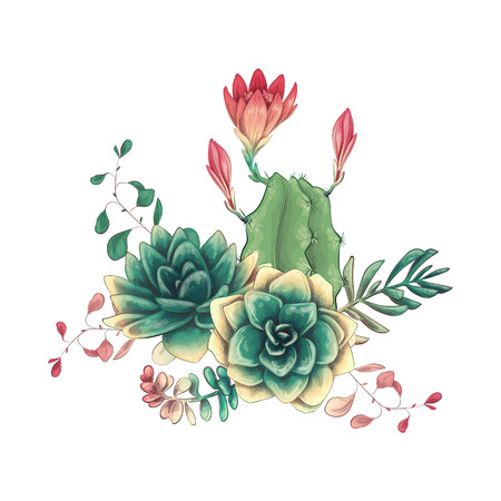 Card with cactuses and succulents set. Plants of desert. Vector illustration.のイラスト素材