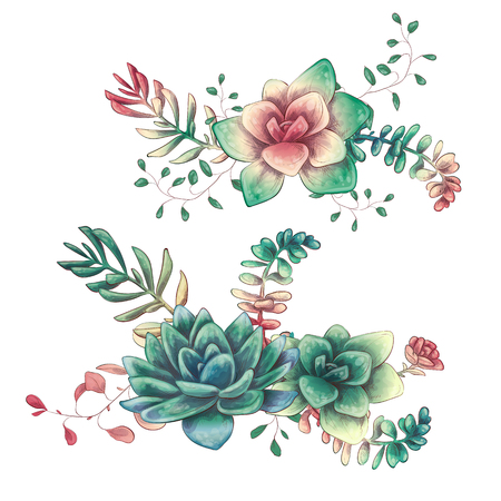 Card with cactuses and succulents set. Plants of desert. Vector illustration.のイラスト素材
