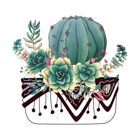 Card with cactuses and succulents set. Plants of desert. Vector illustration.のイラスト素材