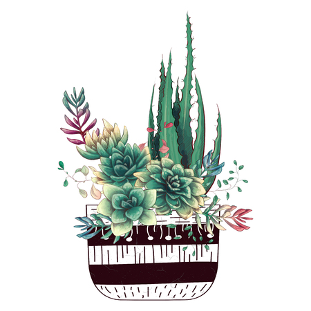 Card with cactuses and succulents set. Plants of desert. Vector illustration.のイラスト素材