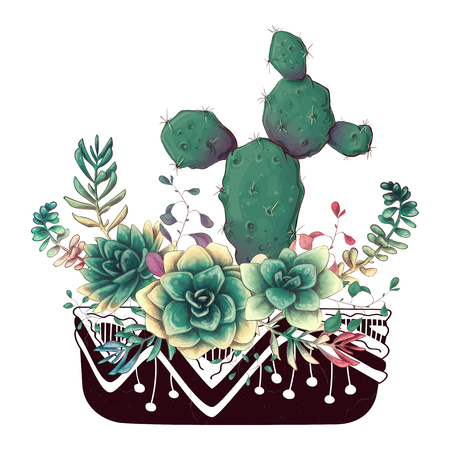 Card with cactuses and succulents set. Plants of desert. Vector illustration.のイラスト素材