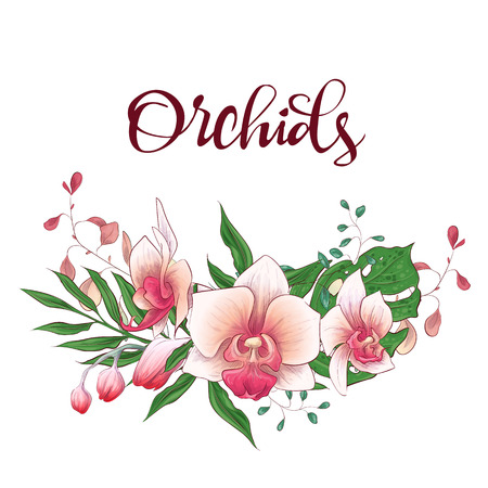 Floral design frame. Orchid, eucalyptus, greenery Wedding card Vector illustrationsのイラスト素材