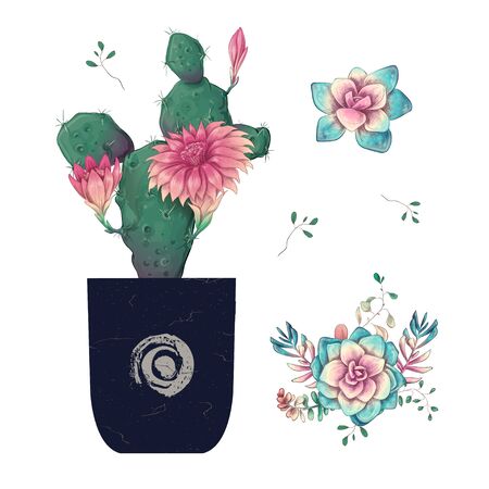 Succulents. Cacti hand drawn on a white background. Flowers in the desert. Vector drawing succulents.のイラスト素材