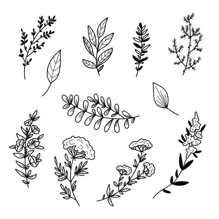 Vector illustration Set of flowers and leaves in doodle hand drawing styleのイラスト素材