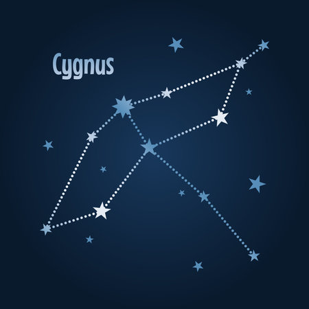 Cygnus stars constellation map in the night sky. Vector illustrationのイラスト素材