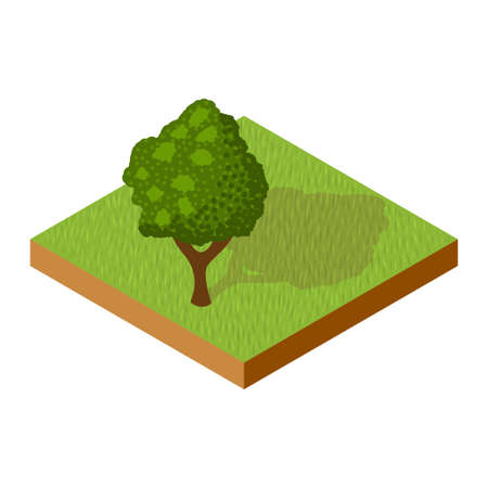 isometric tree. Isometric element to create landscape. Vector.のイラスト素材