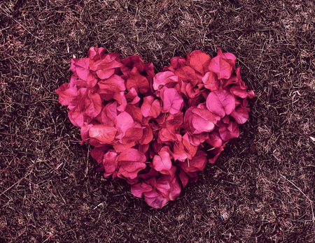 Beautiful heart of pink flowers as a gift to oneの写真素材
